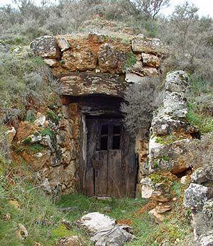 Bodegas